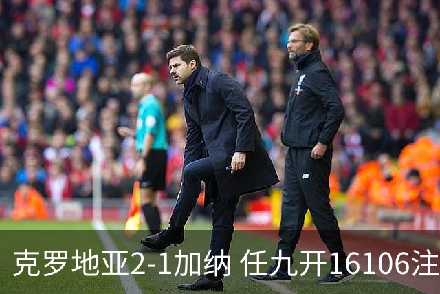 克罗地亚2-1加纳 任九开16106注914元